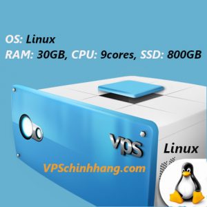 VPS Linux RAM 30GB, 9cores, SSD 800GB