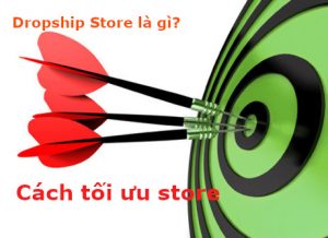 Dropship Store là gì? Cách tối ưu sản phẩm trên Google Shopping, Bing Shopping hiệu quả nhất