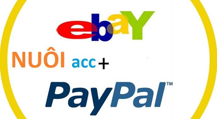 Thuê VPS nuôi account Paypal, Amazon, Ebay… cần lưu ý những điều quan trọng này