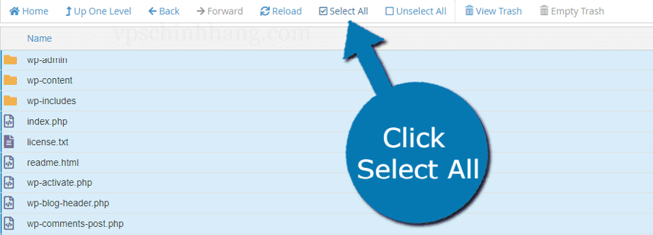 Click Select All để chọn tất cả các tệp bên trong