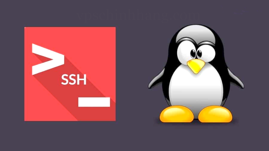 Cài đặt OpenSSH để chạy các lệnh kiểm tra trên Linux 