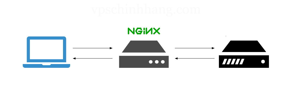 Định cấu hình Nginx làm proxy ngược với các câu lệnh đơn giản
