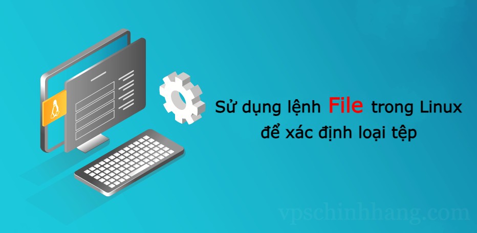Sử dụng lệnh File trong Linux để xác định loại tệp