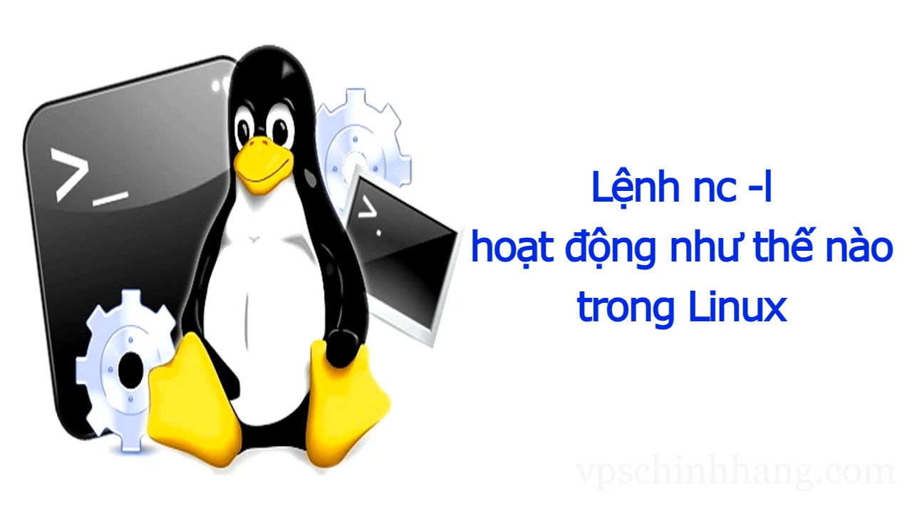 Lệnh nc -l hoạt động như thế nào trong Linux