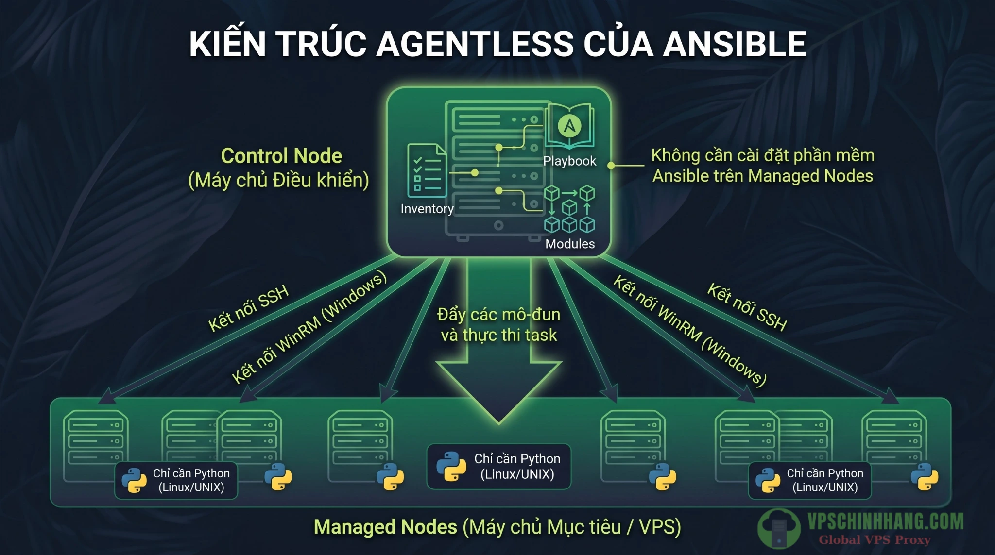 Sơ đồ kiến trúc quản trị VPS không cần agent của Ansible qua SSH