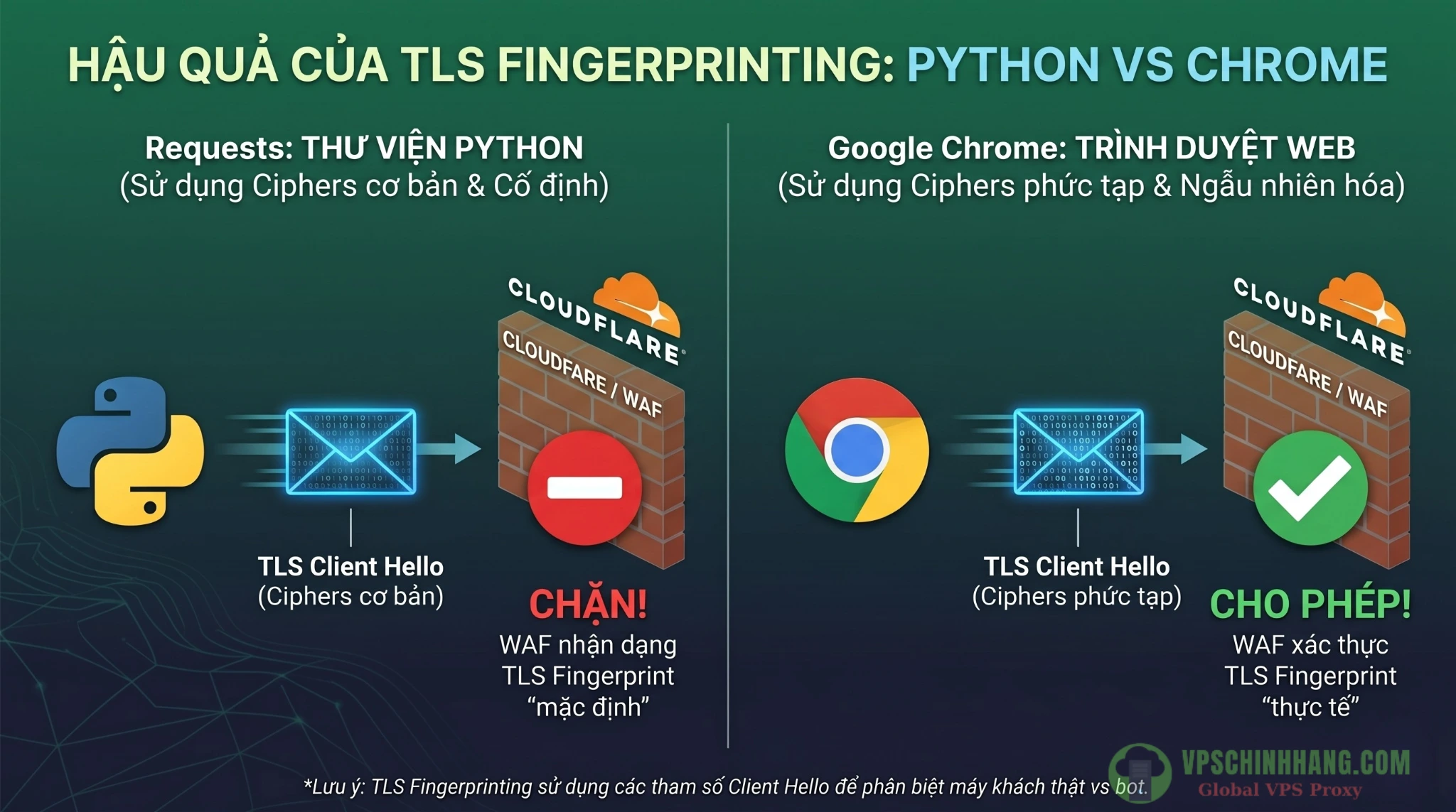 Minh họa về cấu trúc gói tin TLS Client Hello trong quá trình thiết lập kết nối mạng bảo mật.