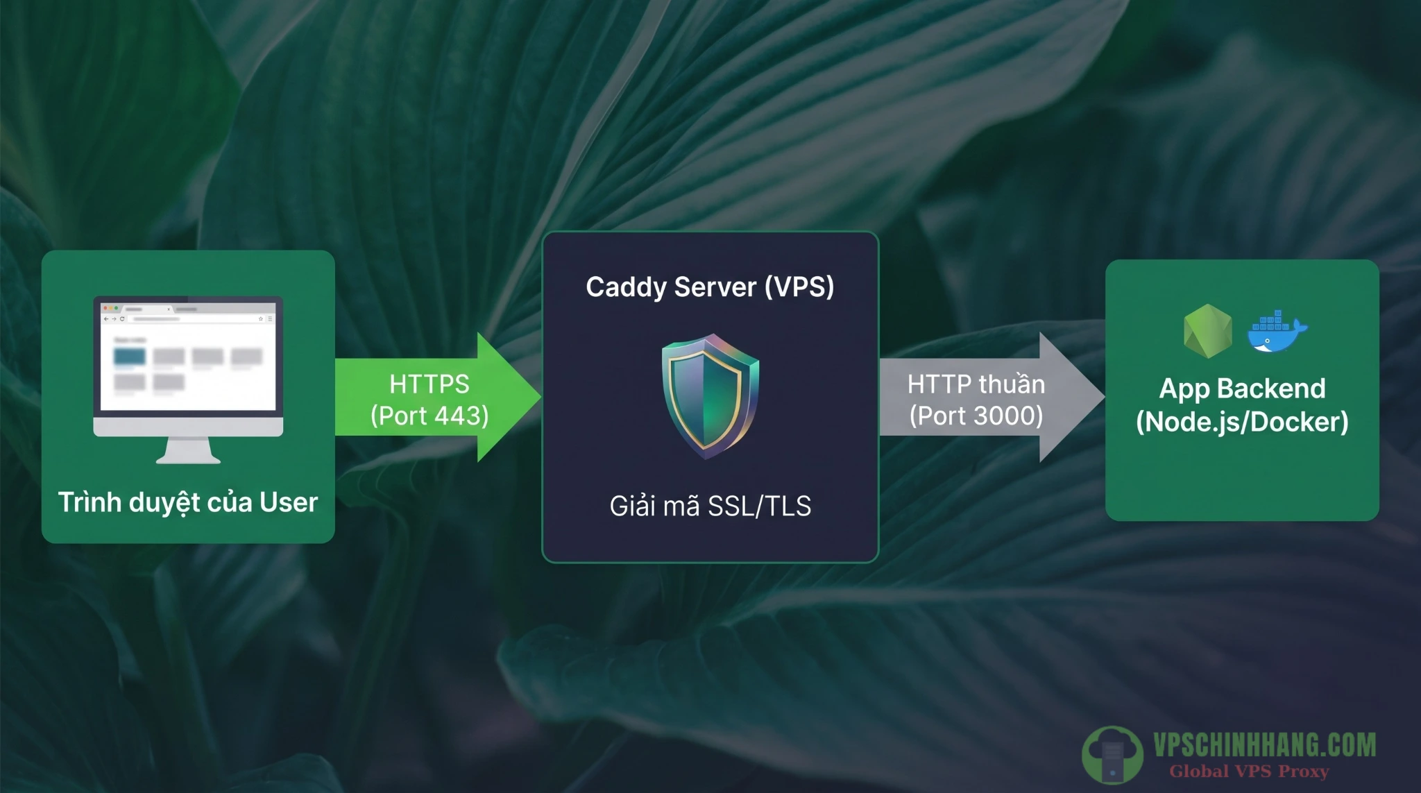 Sơ đồ luồng xử lý dữ liệu và giải mã SSL của Caddy làm Reverse Proxy trên VPS.