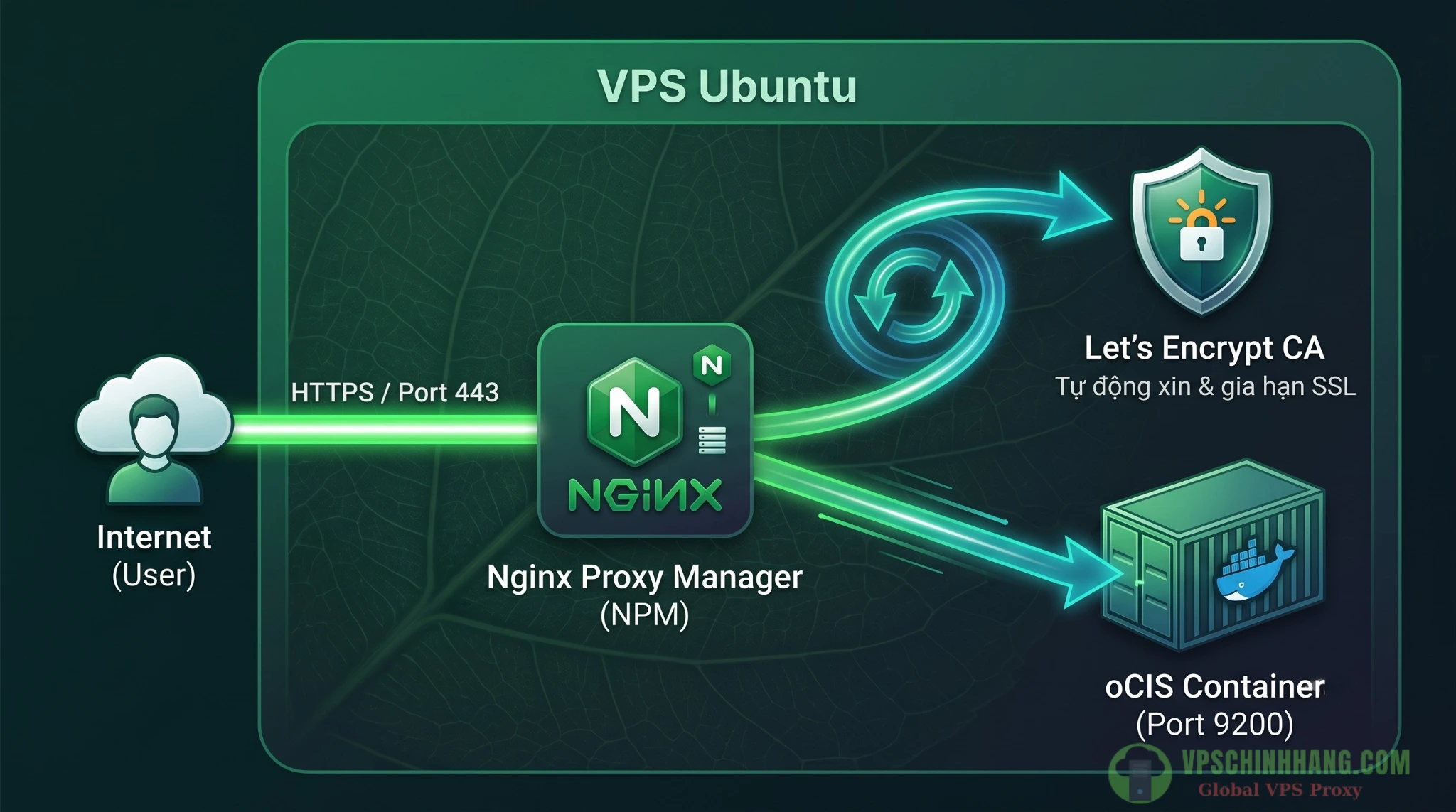 Sơ đồ luồng hoạt động cấp phát SSL tự động của Nginx Proxy Manager cho OwnCloud trên máy chủ VPS.