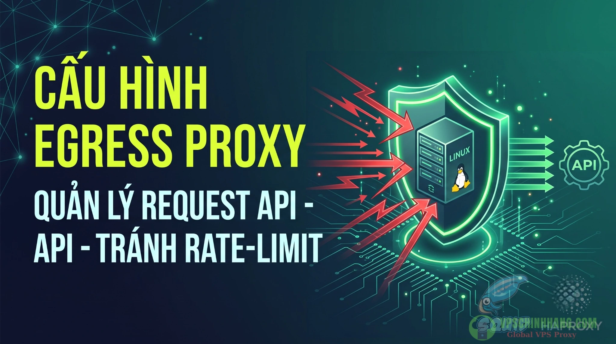 Hướng dẫn cấu hình Egress Proxy trên VPS Linux để quản lý API request và chống rate-limit