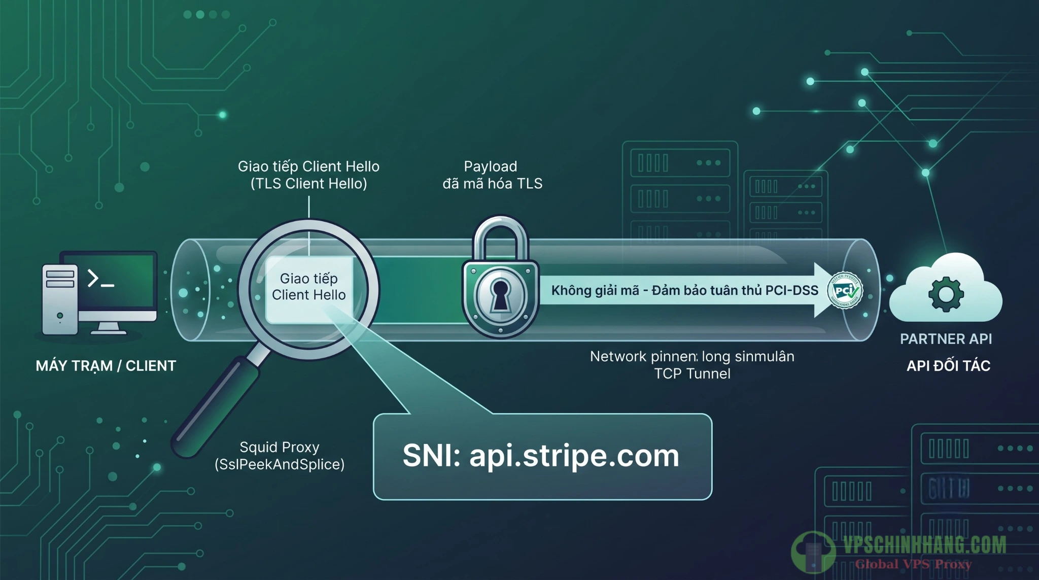 Infographic minh họa cơ chế SslPeekAndSplice của Squid Proxy đọc SNI không giải mã TLS