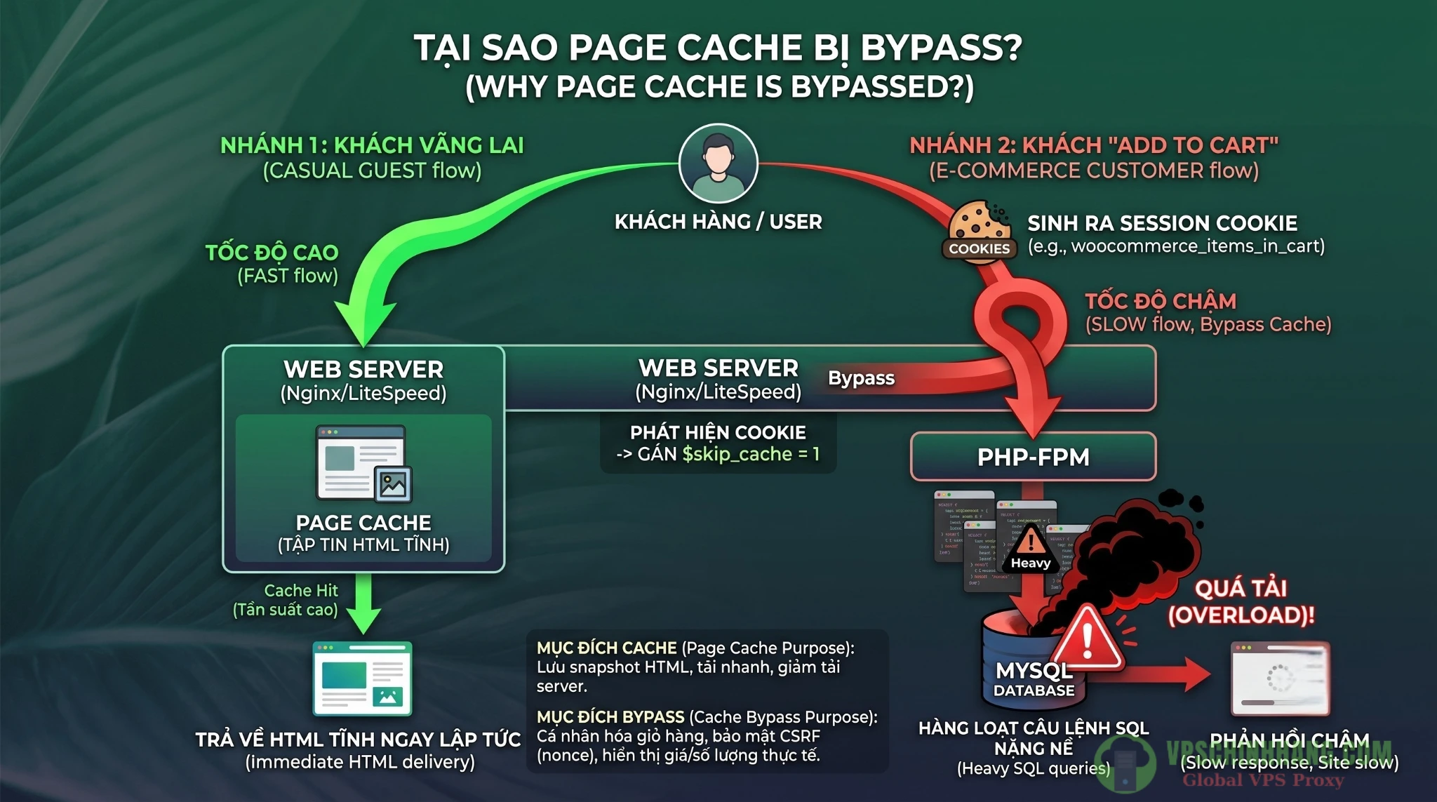 So sánh luồng xử lý truy vấn khi Page Cache bị vô hiệu hóa trên website dropship.