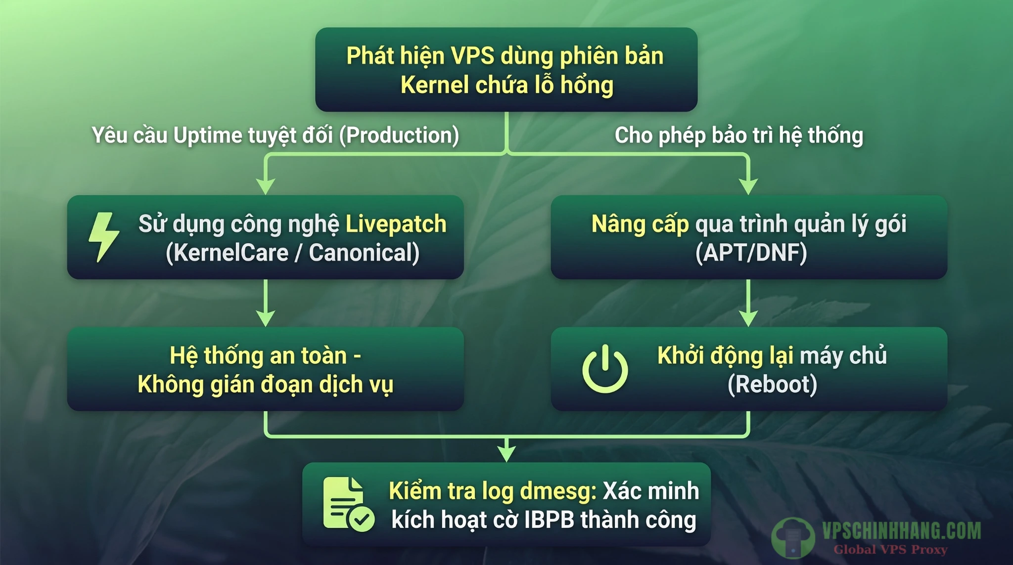 Sơ đồ quy trình vá lỗi Spectre v2 BTR trên VPS Linux bao gồm phương pháp nâng cấp qua trình quản lý gói và sử dụng công nghệ Livepatch.